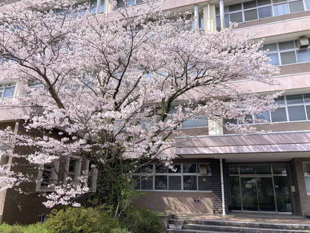 １次会は駅近くの「和咲美」で開催されました（写真準備中）。