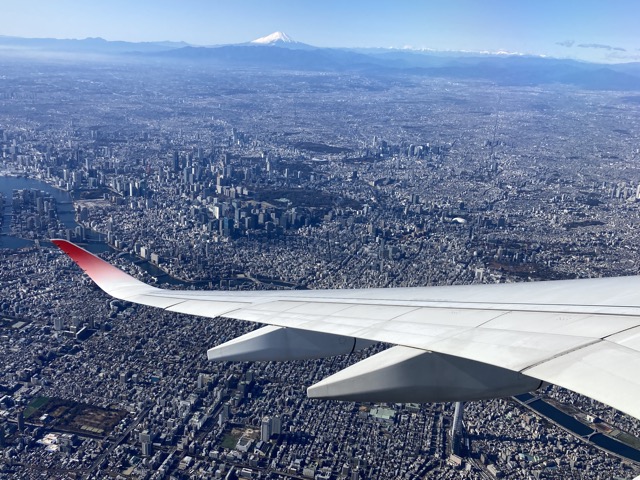 東京の街並みがよく見えました