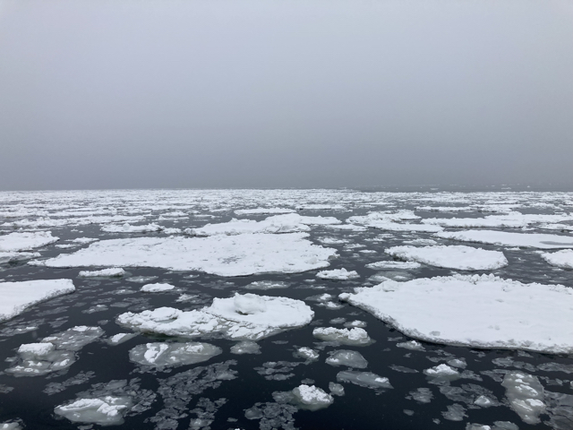 前面結氷ではなかったですが，流氷を間近で見学できました。