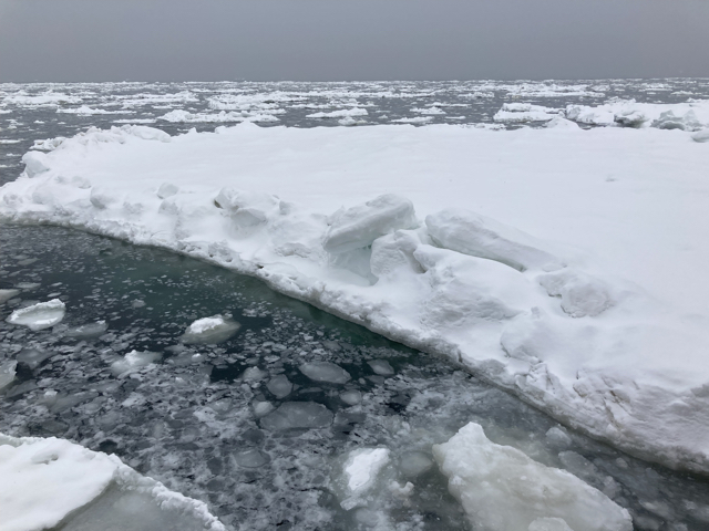 意外と北海道に住んでいても流氷は見たことがない人が多いです。